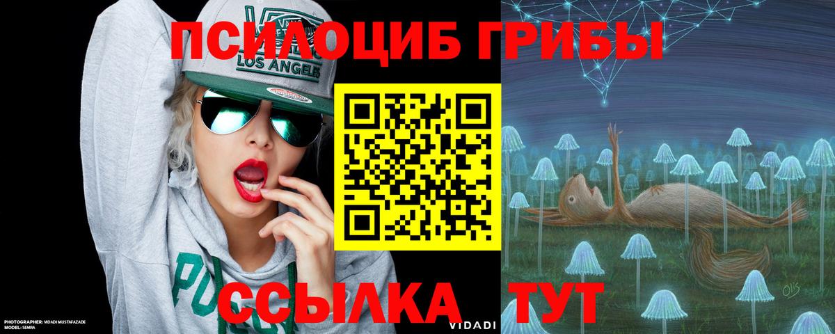 Пыть-Ях  Галлюциногенные грибы мицелий  Вход с VPN  Галлюциногенные грибы мухоморы 